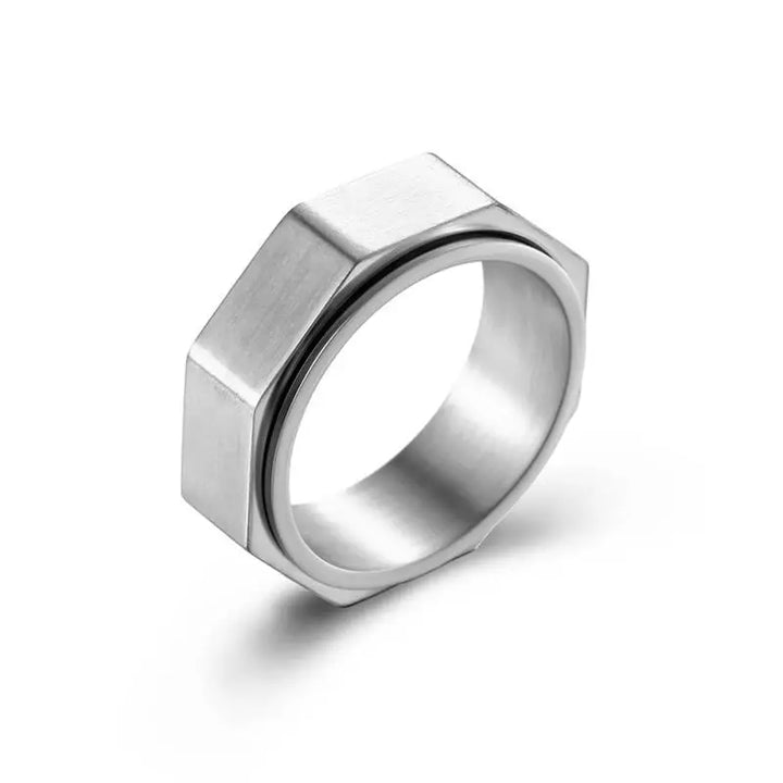 Titanium Spinner Ring - 7 / Silver